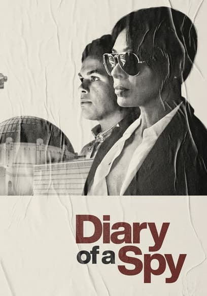 Diary of a Spy