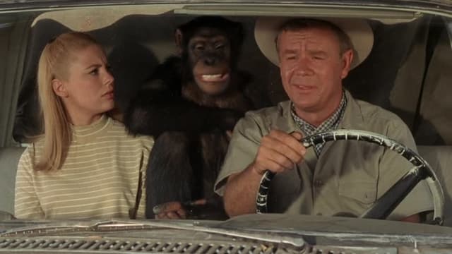 S03:E16 - The Elephant Raid (Pt. 2)