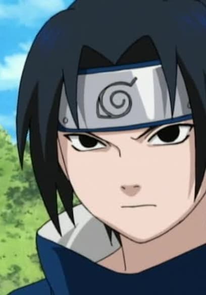 S01:E27 - The Chunin Exam Stage 2: the Forest of Death poster
