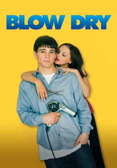 Blow Dry poster