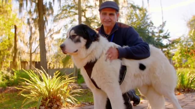 S01:E02 - Wild Friends