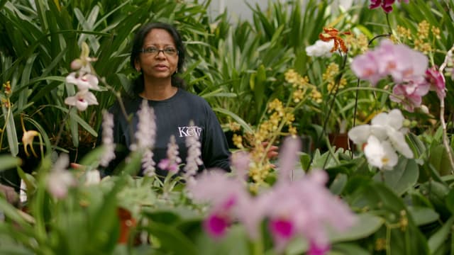 S08:E16 - Episode 16