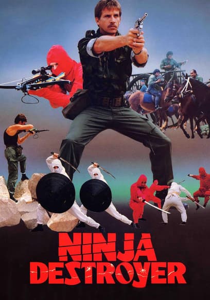 Ninja Destroyer