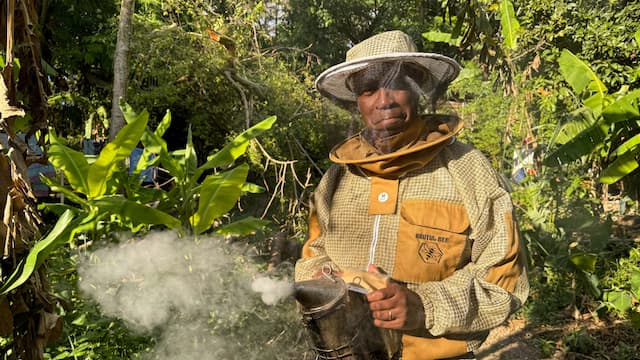 S01:E05 - Westmoreland - Jamaica