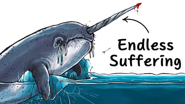 S01:E01 - Why It Sucks to Be Born as a Narwhal & as a Donkey