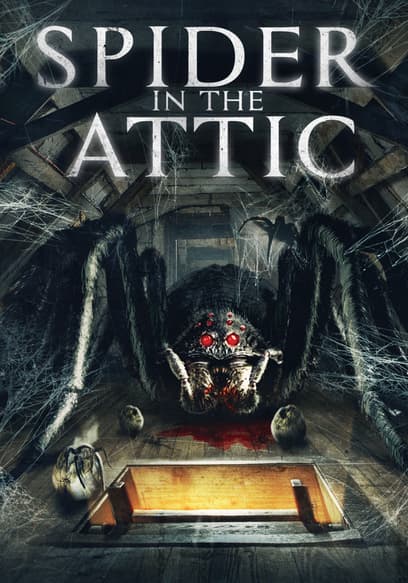 Spider in the Attic
