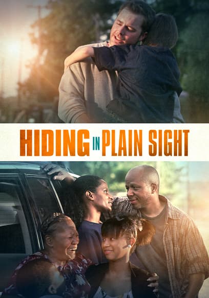 Hiding in Plain Sight