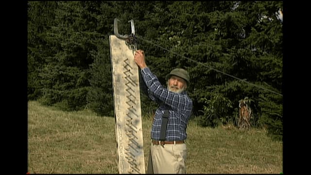 T12:C11 - S12:E11 - The Go Go Bars