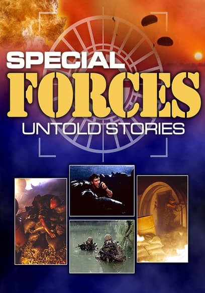 Special Forces: Untold Stories poster