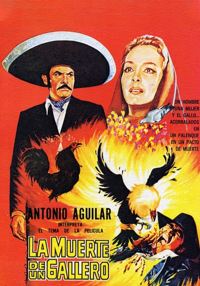 La muerte de un gallero