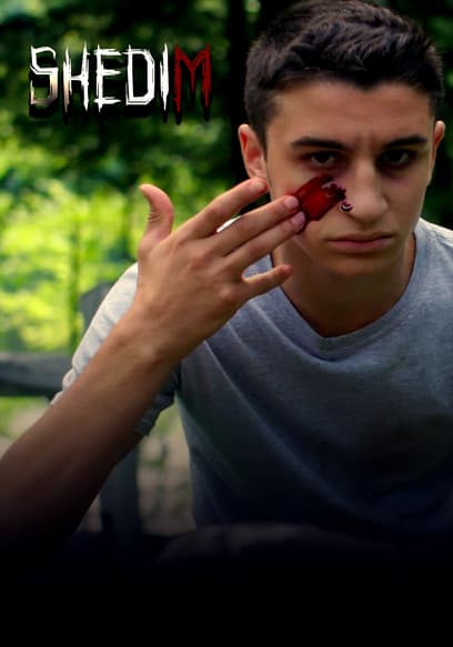 Shedim poster