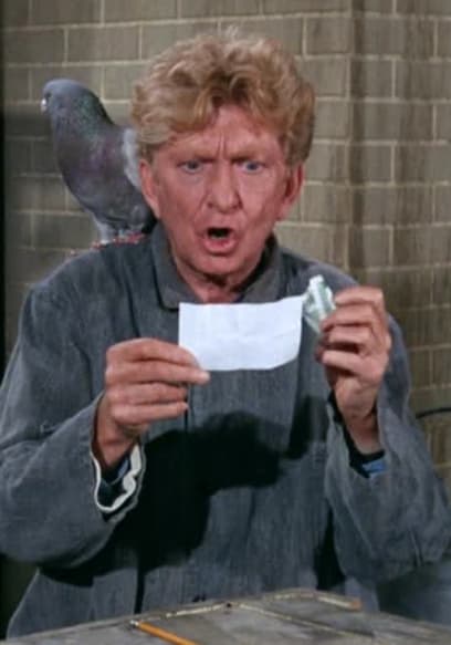 S03:E28 - The Pigeon poster