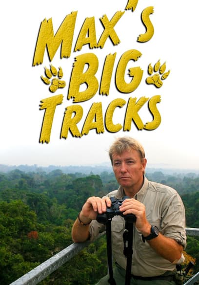 Max's Big Tracks