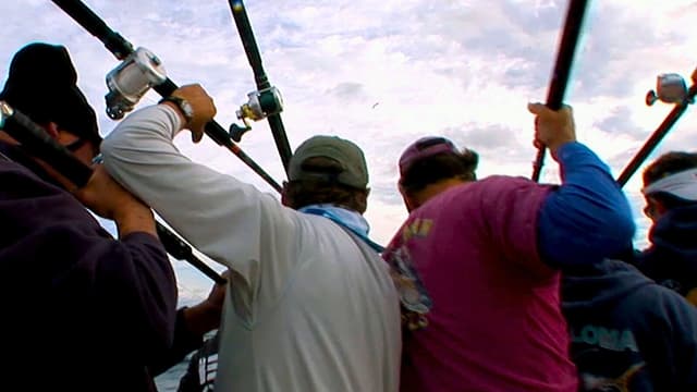 S03:E09 - Rod-Bending Adrenaline at Guadalupe Island: Part 4