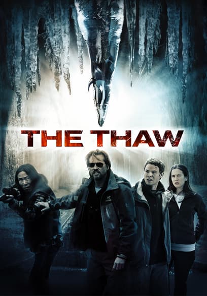 The Thaw poster