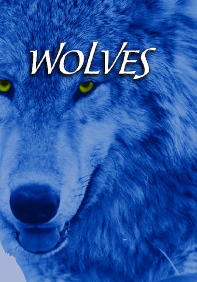 Wolves