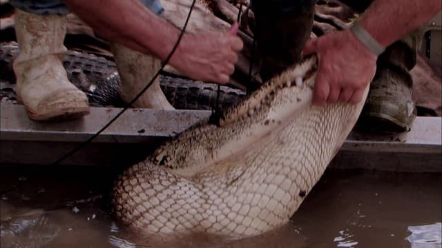 S06:E15 - The Three Kings