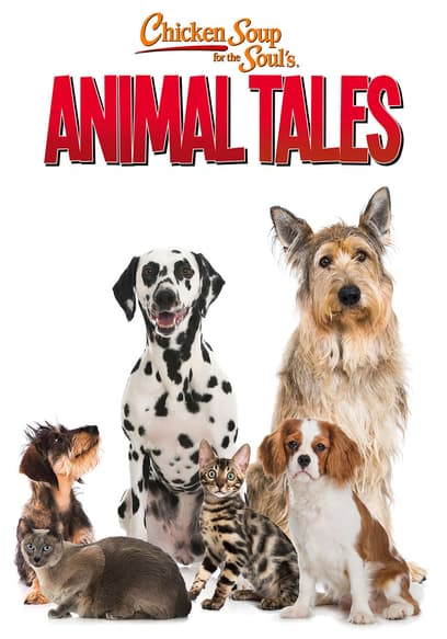 Animal Tales poster