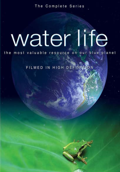 Water Life