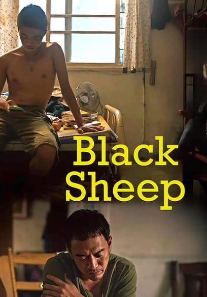Black Sheep