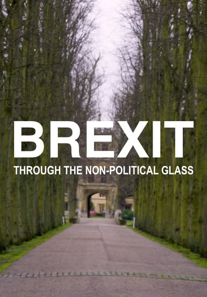 Brexit Through the Non-Political Glass