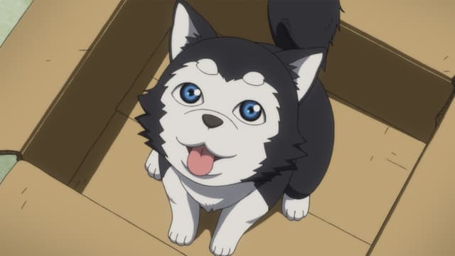 S01:E14 - You Look Just Like Him