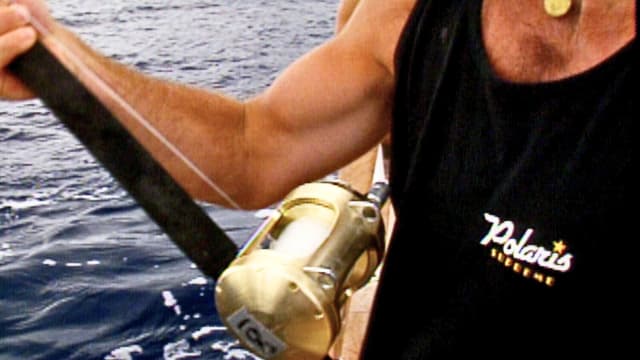 S01:E22 - The El NiÃ±o Invasion: Shark vs. Tuna, Part 1