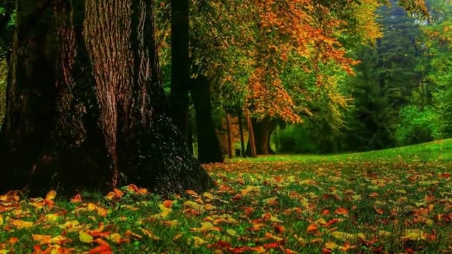 S01:E05 - Meditation With Landscape - Relaxing Meditation - Soft Music