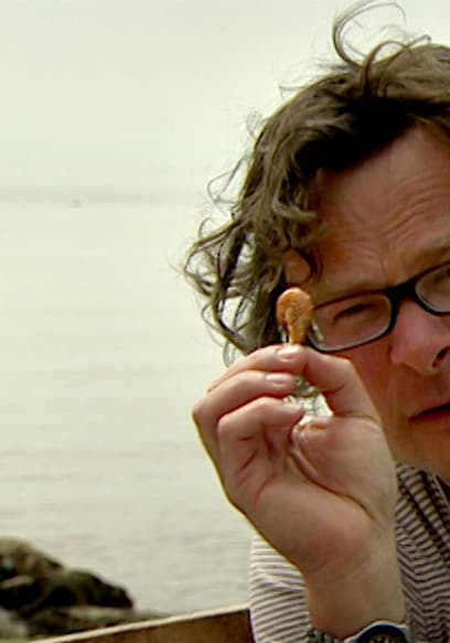 S01:E03 - Cabbage & Slugs poster