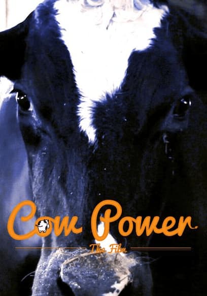 Cow Power