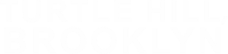 Turtle Hill, Brooklyn