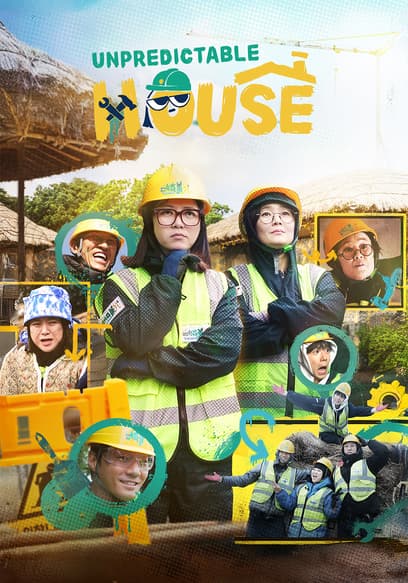 Unpredictable House poster