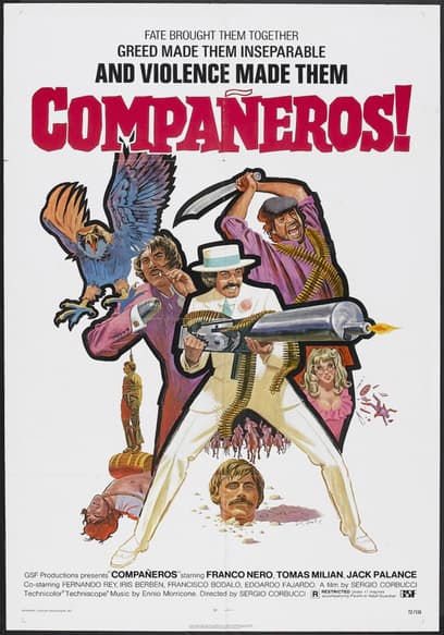 Compañeros