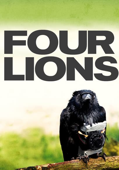 Four Lions