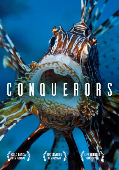 Conquerors