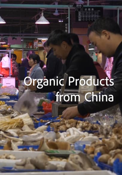 Organic Products From China poster