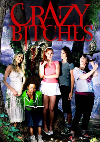 Crazy Bitches poster