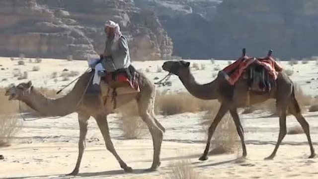 S01:E12 - Naples, Petra, Denver, Detroit, Brooklyn, Kuala Lumpur