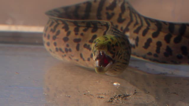 S02:E08 - Eelectrocution