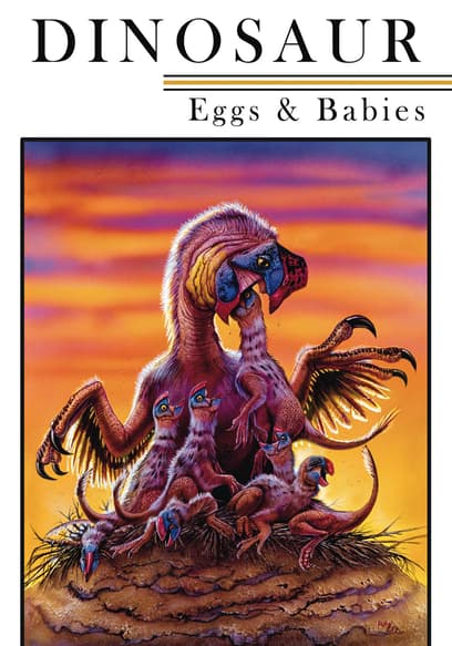 Dinosaur Eggs and Babies