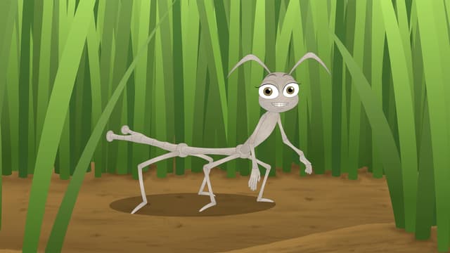 S05:E513 - Stickbug