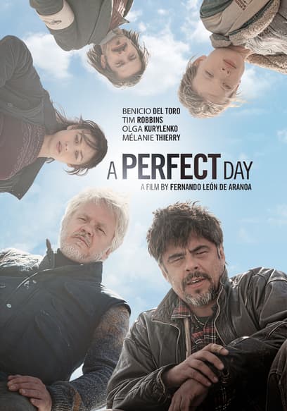 A Perfect Day poster