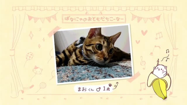 S01:E01 - The Kitty Who Lives in a Banana