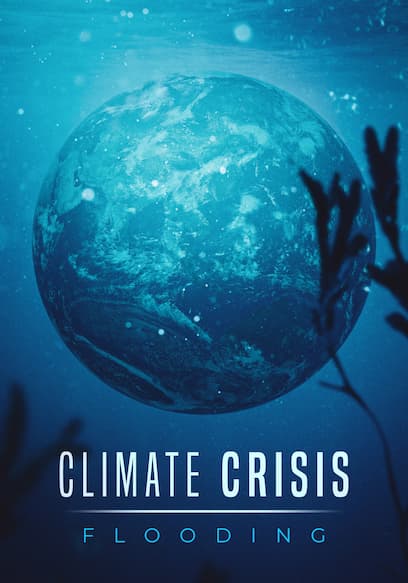 Climate Crisis: Flooding poster