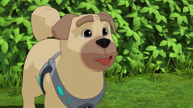 S01:E01 - Brownie : The Talking Dog