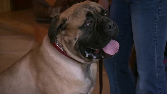 S04:E13 - Peavey (Pt. 1)