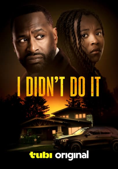 I Didn’t Do It