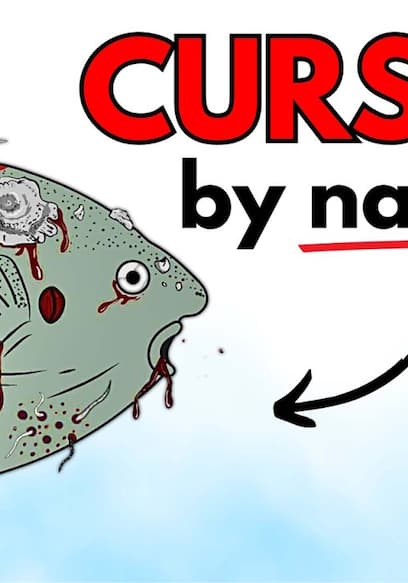 Affiche de S01:E02 - Why It Suck to Be Born as a Sunfish