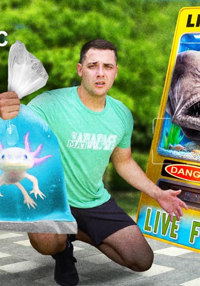 Póster de S01:E11 - Live Fish Vending Machine
