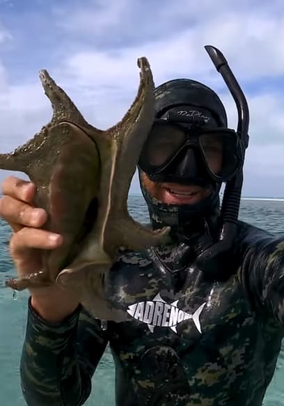 S01:E05 - Crazy Sea Creatures From A Tropical Island (Night Dive) poster